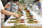 创新驱动转型—中药产业高质量发展